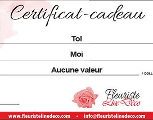Certificat-cadeau