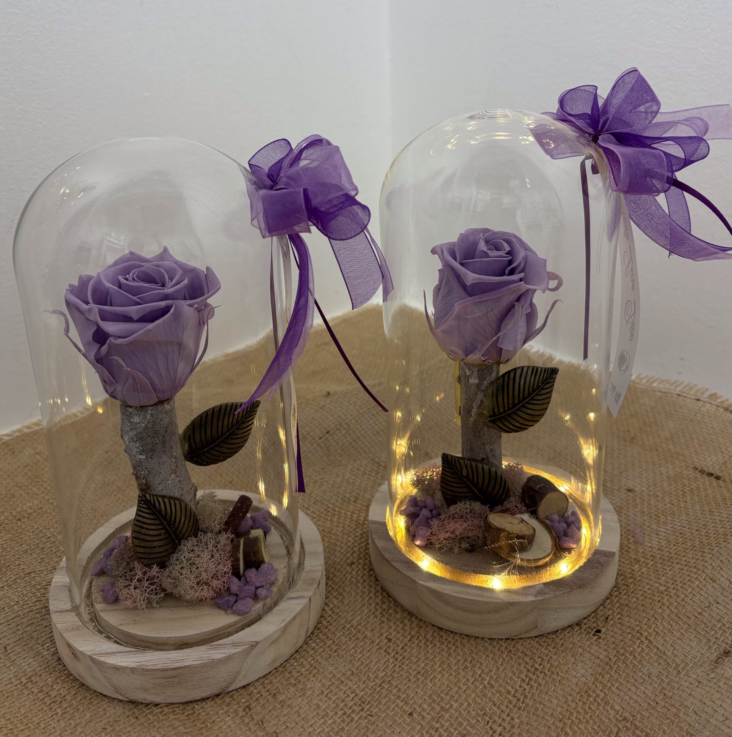 Rose éternel avec ses feuilles de bronze dans un dôme